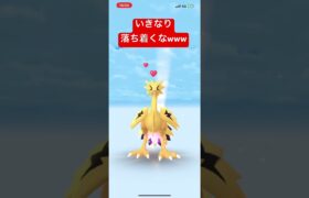 ポケモンGO色違いガラルサンダー‼︎