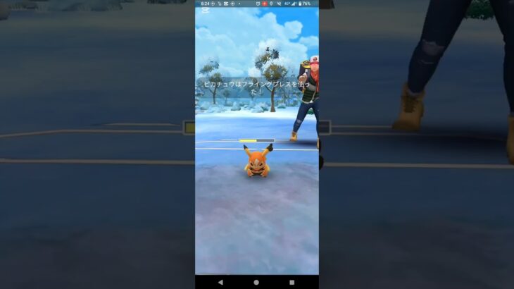 ホリデーカップ【ポケモンGO】アマルス、コロモリ、チョンチー※リトルバージョン