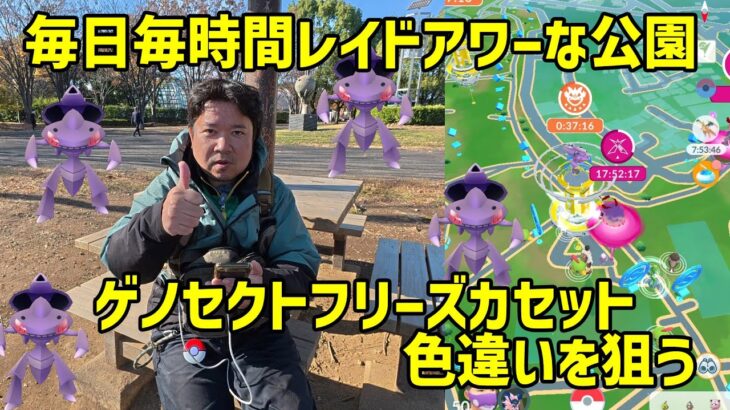 【ポケモンGO】毎時間レイドアワー状態な公園でゲノセクト色違いを狙う！