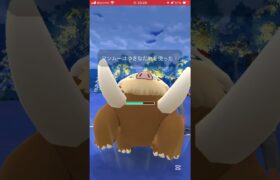 ポケモンGOバトルリーグ　マスターリーグ 493