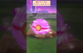 【難易度中】ダイマックスワンリキー極小サークルクリティカルゲット【ポケモンGO】