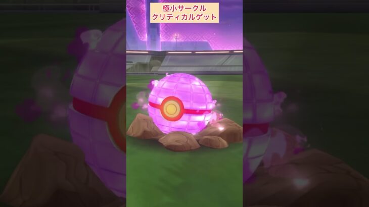 【難易度中】ダイマックスワンリキー極小サークルクリティカルゲット【ポケモンGO】