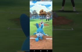 ファンタジーカップ【ポケモンGO】ルカリオ、バクガメス、マリルリ