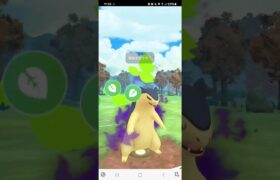 ポケモンGO 通常スーパーリーグ Sバクフーン、S(色)ドククラゲ、カラマネロ