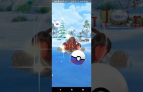 ポケモンGO　今日の色違い2匹クイタラン＆プリン