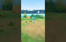 【ポケモンGO】野生のタッツー(いろちがい)を捕まえるシーン2024.12.07