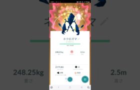 ポケモンGO　色違い　ネクロズマをキラ交換した結果、、2024/12/14