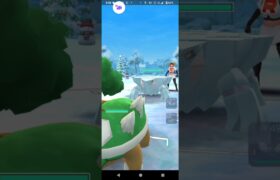 ポケモンGOホリデーカップ対戦⚔️ドダイトス＆チルット＆ノコッチ全4戦③