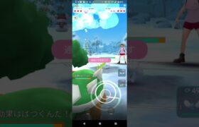 ポケモンGOホリデーカップ対戦⚔️ドダイトス＆チルット＆ノコッチ全4戦①