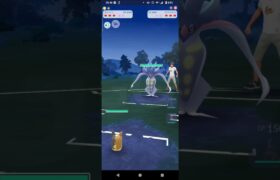 ポケモンGOスーパーカップ対戦モルペコ＆エンニュート＆シュバルゴ全4戦③