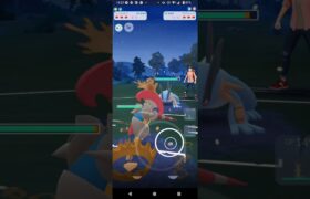 ポケモンGOスーパーカップ対戦モルペコ＆エンニュート＆シュバルゴ全4戦①