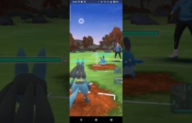 ポケモンGOファンタジーカップ対戦ルカリオ＆ドリュウズ＆マタドガス全5戦④