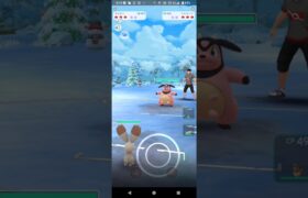 ポケモンGOホリデーカップ対戦⚔️ホルビー＆イーブイ＆ノコッチ全5戦③