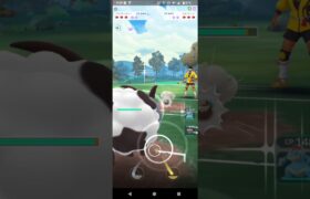 ポケモンGOスーパーカップ対戦⚔️バイウールー＆オーダイル＆ネンドール全5戦③