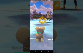 ホリデーカップ【ポケモンGO】シシコ、ヤミラミ、Aサンド※リトルバージョン