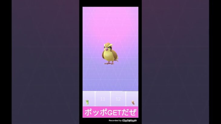 ポケモンGO実況🕊️ポッポGETだぜ😀ポッポに勝負を挑んでみた⚡️ #ポケモンgo #shorts #ショート