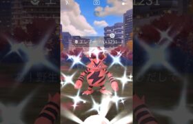 【ポケモンGO】色違いエレブーGET【ワイルドエリア】＃shorts