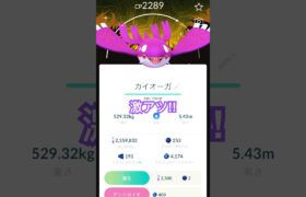 【ポケモンGO】スペシャル背景色違いカイオーガGET【ワイルドエリア】#shorts