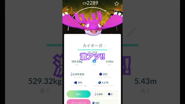 【ポケモンGO】スペシャル背景色違いカイオーガGET【ワイルドエリア】#shorts