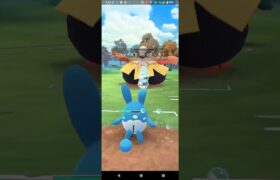 スーパーリーグ【ポケモンGO】Sボーマンダ、マリルリ、デンヂムシ