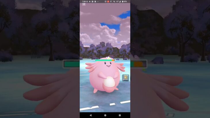 ホリデーカップ【ポケモンGO】Sカイリュー、ピカチュウ、ラッキー※リトルバージョン