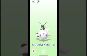 『ポケモンGO』#pokemongo #pokemonworldchampionships #ポケモンwcs2023 #pokemoncards #レイドバトル #リモートレイドバトル #goバトル