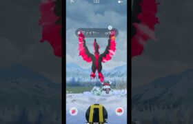 ポケモンGO、コミニティーデイでガラルファイヤー降臨😳#shorts #ポケモンgo