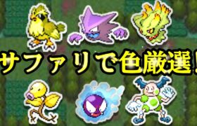 【ポケモンHGSS】サファリで色違い粘ろうか 0~