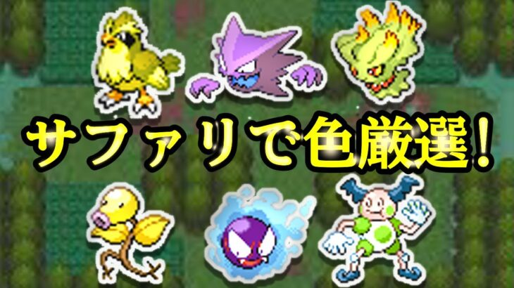 【ポケモンHGSS】サファリで色違い粘ろうか 0~