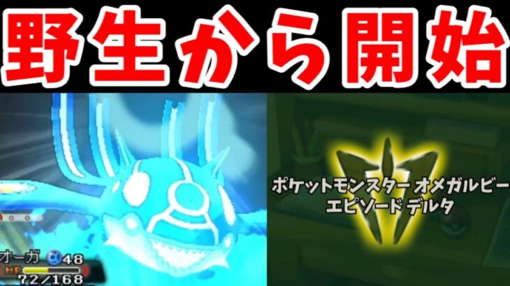 ゲンシカイキLv45って野生のままでもエピソードデルタを攻略できるの？【ゆっくり実況】【ポケモンORAS】