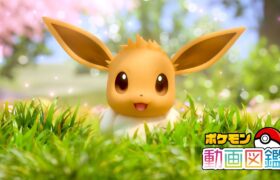 【公式】「ポケモン動画図鑑」No.0133 イーブイ