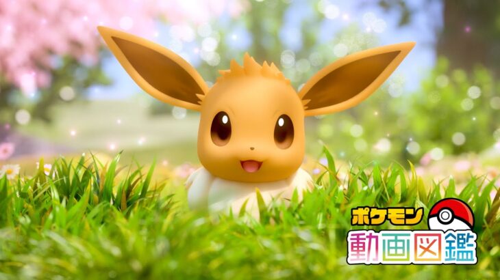 【公式】「ポケモン動画図鑑」No.0133 イーブイ