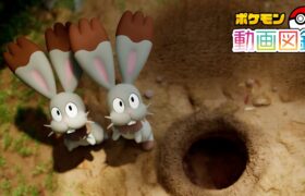 【公式】「ポケモン動画図鑑」No.0659 ホルビー