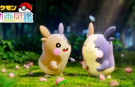 【公式】「ポケモン動画図鑑」No.0877 モルペコ