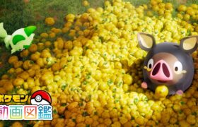 【公式】「ポケモン動画図鑑」No.0915 グルトン