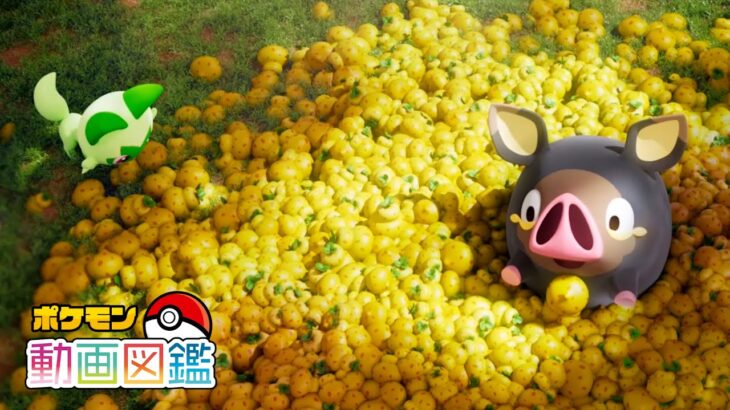 【公式】「ポケモン動画図鑑」No.0915 グルトン