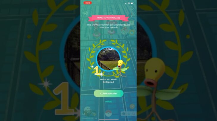 Pokémon GO – Showcase [December 2024 Community Day] | Biggest Bellsprout