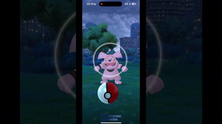 Pokemon GO – gintotski Catching a 1 Star Granbull