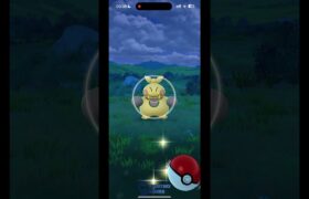 Pokemon GO – gintotski Catching a Two Star Makuhita