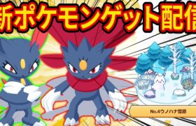 最強級新ポケモン「ニューラ/マニューラ」を狙うウノハナ雪原睡眠リサーチ配信【ポケモンスリープ】【ポケスリ】【Pokémon Sleep】