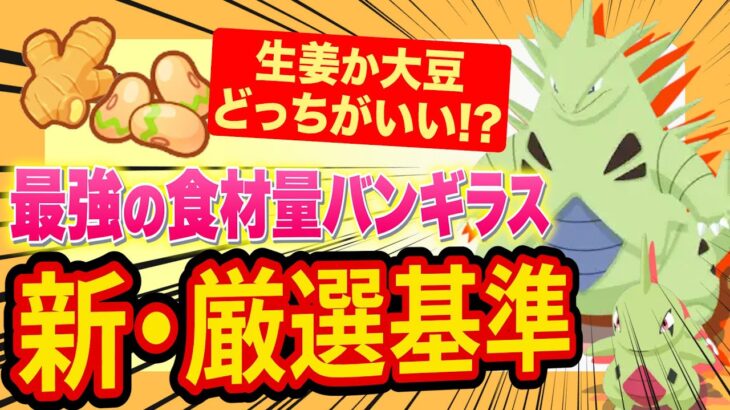 【ポケスリ】最強級食材ポケモン「バンギラス」の最新の厳選基準を徹底解説します【ポケモンスリープ】【Pokémon Sleep】【完全攻略/徹底解説】