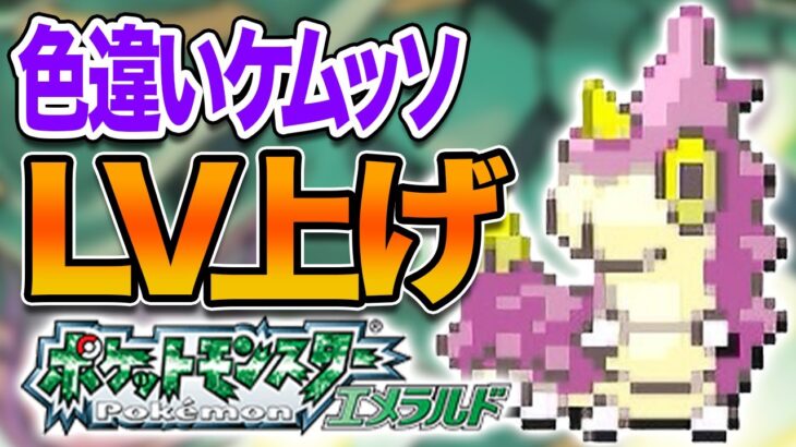 【ポケモンRSE】色違いケムッソのレベル上げをするぞ！ #shorts  #縦型配信