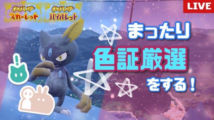 【ポケモンSV】  ポケポケの下振れを色証厳選で回収していく！！初見大歓迎！#103　 【雑談】