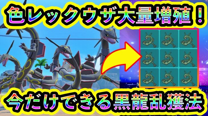 【急げ！】今しかできない色違いレックウザ大量に増やす方法をわかりやすく解説！【ポケモンSV】【碧の仮面】【藍の円盤】