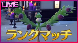 見て、綺麗なクリスマスツリーだね(ランクマ)【ポケモンSV】