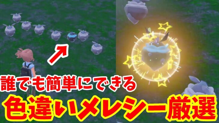 【ポケモンSV】誰でも簡単！色違いメレシーを入手しよう！特別なイベント大量発生【ポケモンスカーレットバイオレット・ゼロの秘宝】