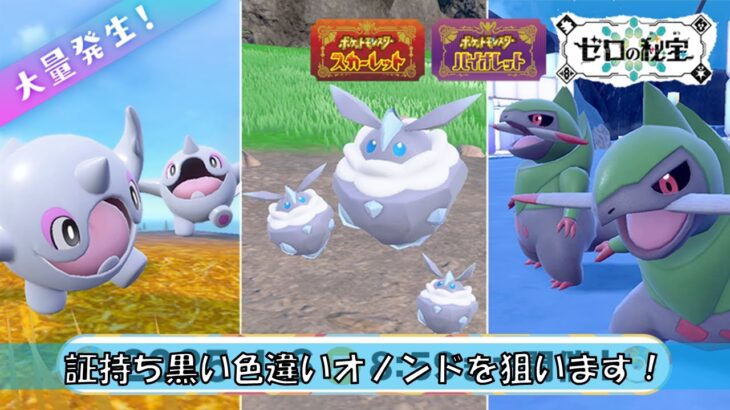 イベント大量発生で黒い色違いアルクジラ狙います！【ポケモンSV】【初見、コメント歓迎】