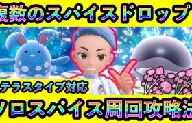 【ポケモンSV】マリルリ＆ドオーレイドをソロで全テラスタイプ周回する攻略法を解説！複数スパイスドロップの特別仕様もあり！【碧の仮面】【藍の円盤】