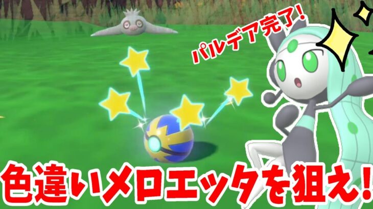 【ポケモンSV】色違いメロエッタ入手への道！条件きびしすぎでは！？【ポケモンスカーレットバイオレット・ゼロの秘宝】