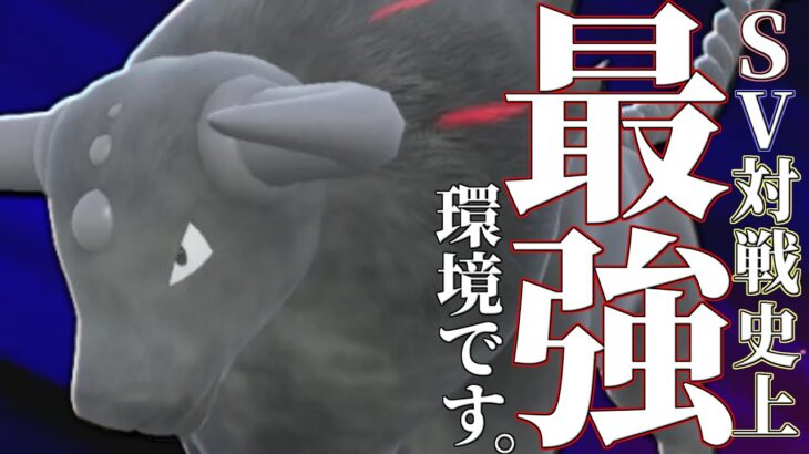 【理論上最強】強すぎて当たるたびにめちゃくちゃ困る『炎ケンタロス』の倒し方誰か教えてください…【ポケモンSV】